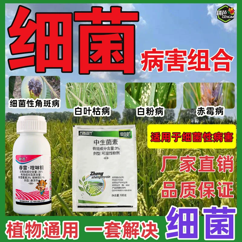 耕芭细菌性病害组合品质保证春雷喹啉铜悬浮剂中生菌素霜霉病