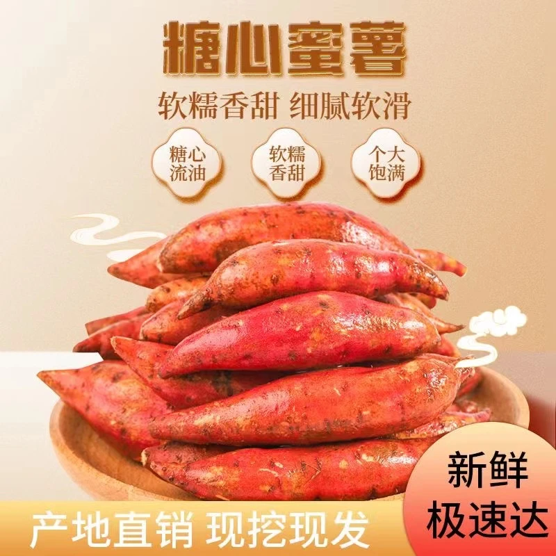 新疆巴仁乡饱满蜜薯现挖现发新鲜软糯香甜无筋无丝