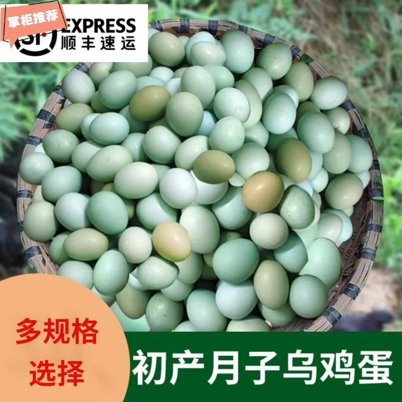 【顺丰包邮】新鲜乌鸡蛋绿壳蛋散养土鸡蛋笨鸡蛋月子蛋年货礼盒