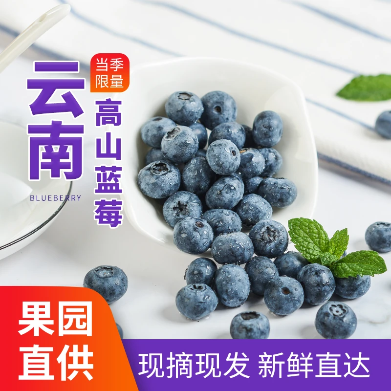 【宝贝专属款】云南高山l25 一斤尝鲜