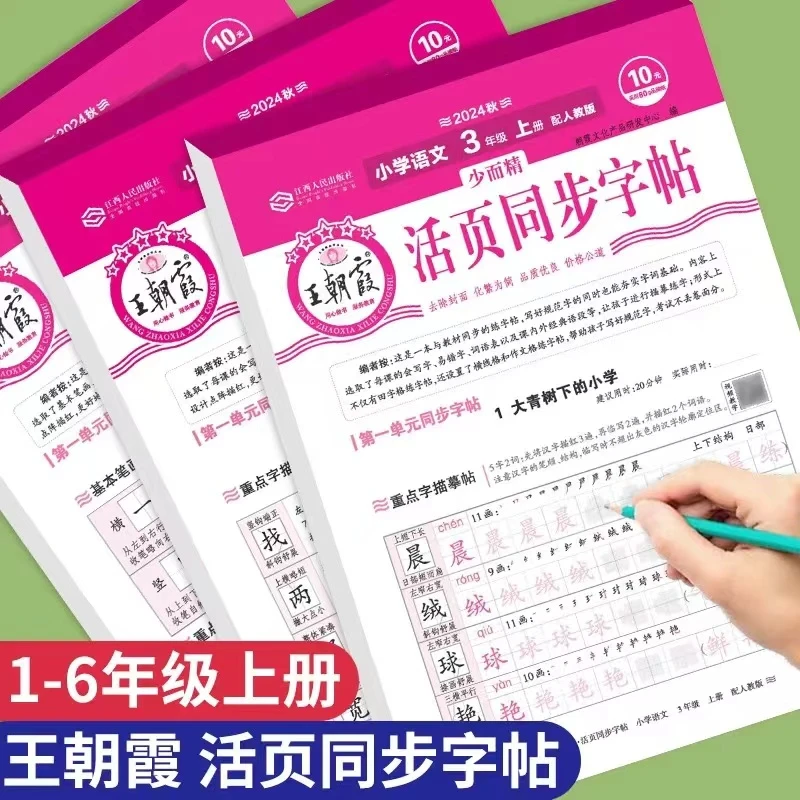 2024秋季王朝霞活页同步字帖一二三四五六年级语文上册
