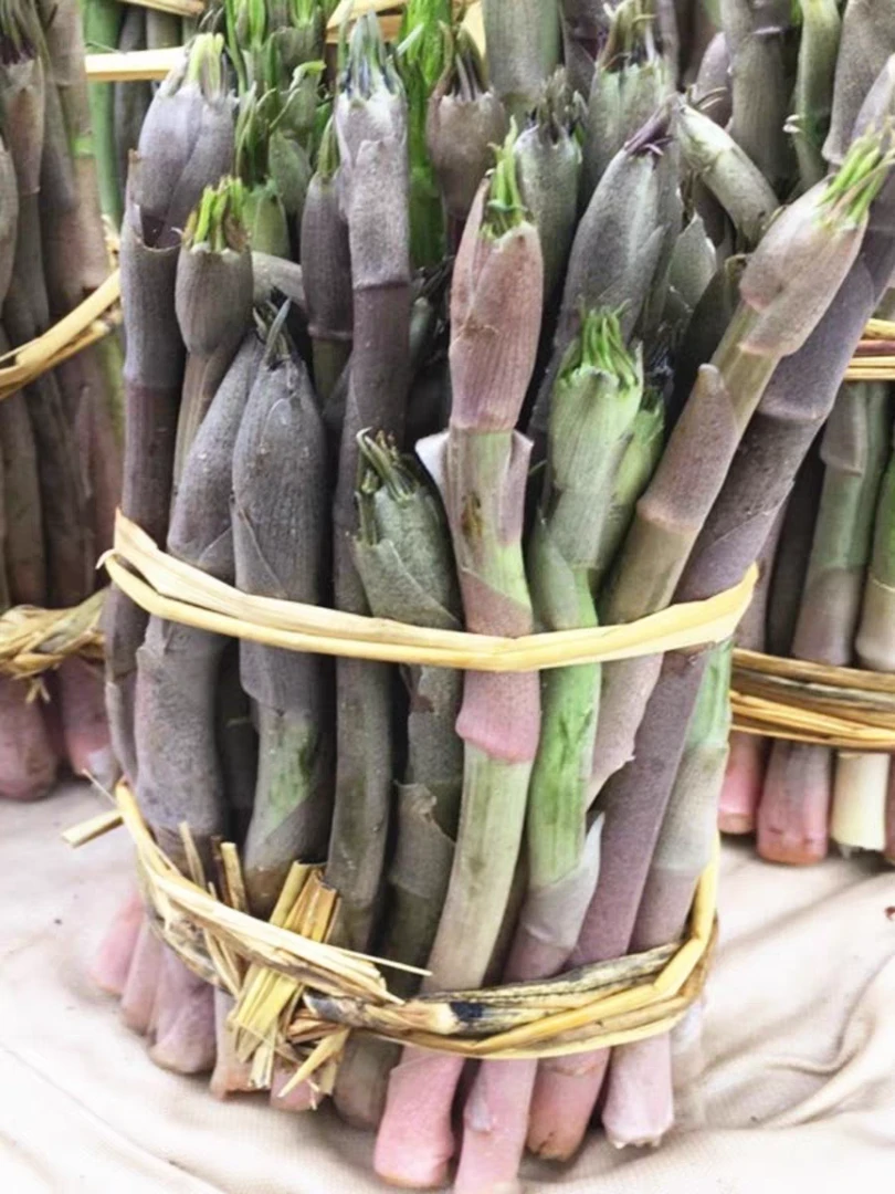 龙须菜东北山野菜现采现摘包邮到家可炒肉