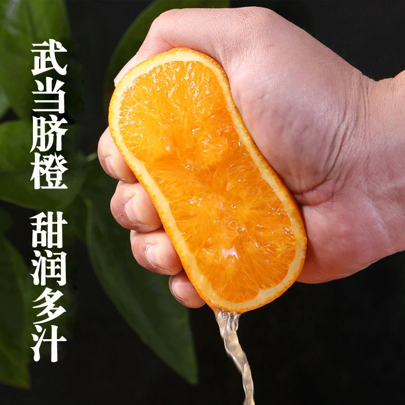 丹江口武当脐橙喝农夫山上泉水长大的橙子3斤包邮榨汁喝营养健康