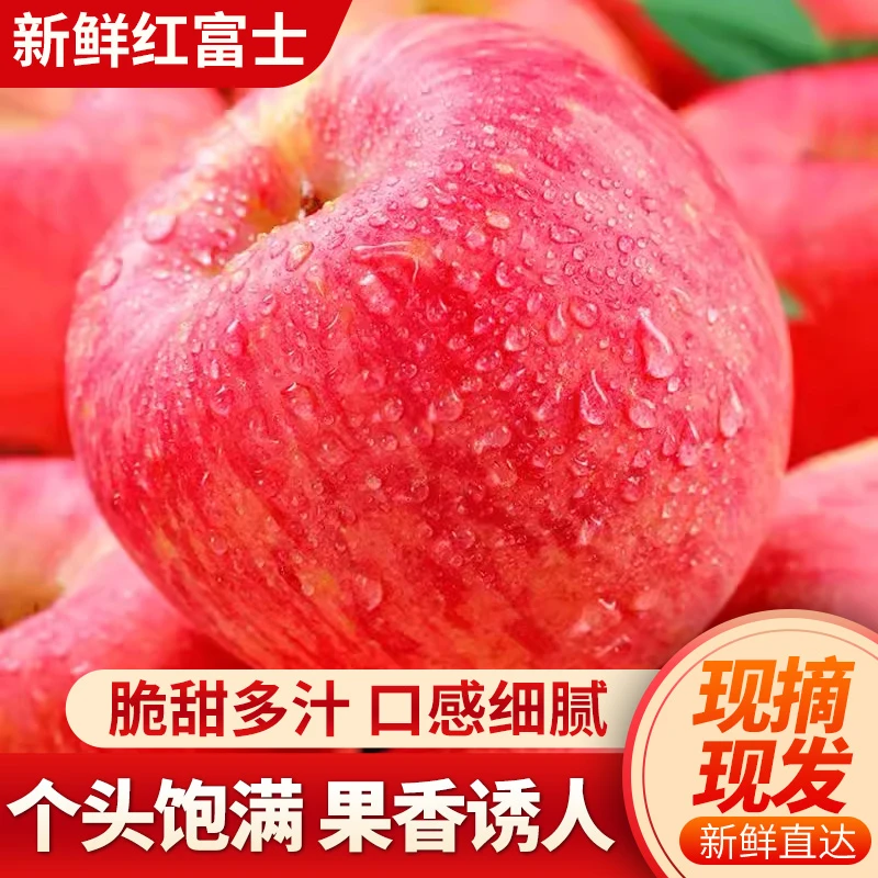 唐安果园大沙河红富士苹果当季水果新鲜脆甜苹果现摘果园直发包邮