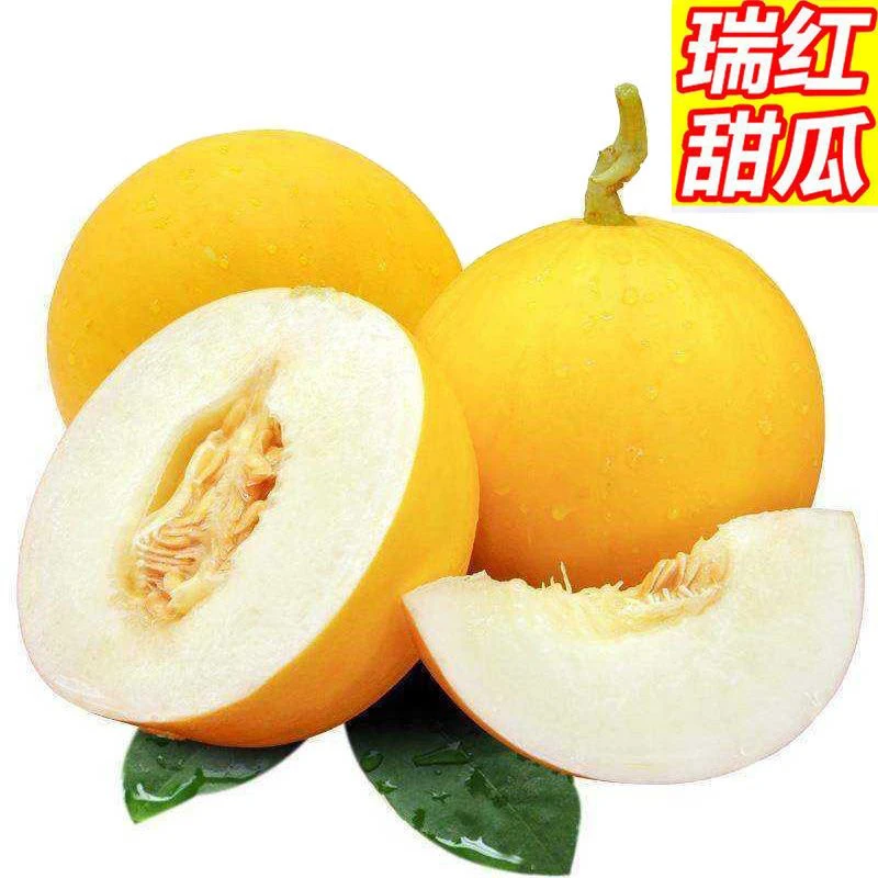 脆甜陕西黄河蜜瓜翠甜可口香甜头茬瓜多汁带箱5斤