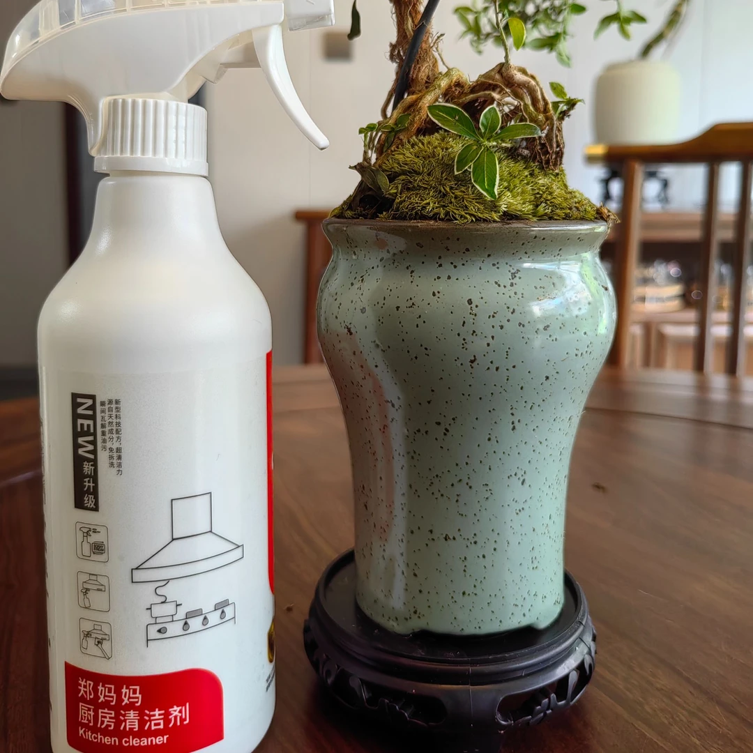 厨房清洁剂清洗剂重油污免洗泡沫水洗水垢喷雾去污清洁剂去油家用