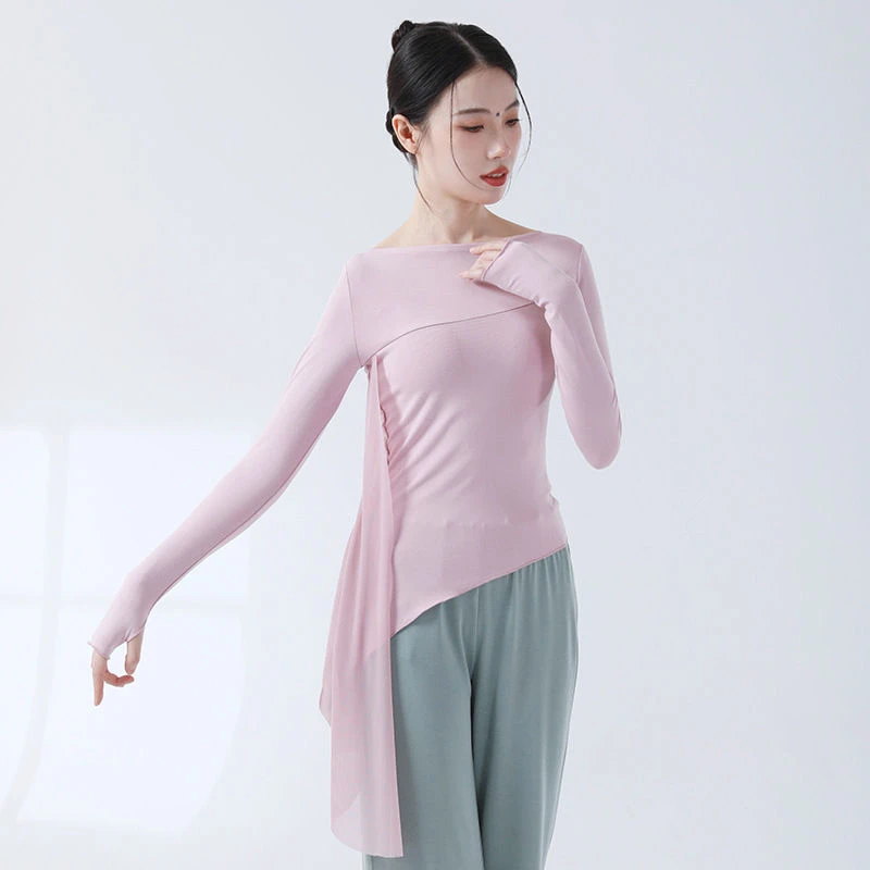 现代舞蹈服练功服女秋季新款身韵舞衣长袖套指飘纱修身上衣形体服