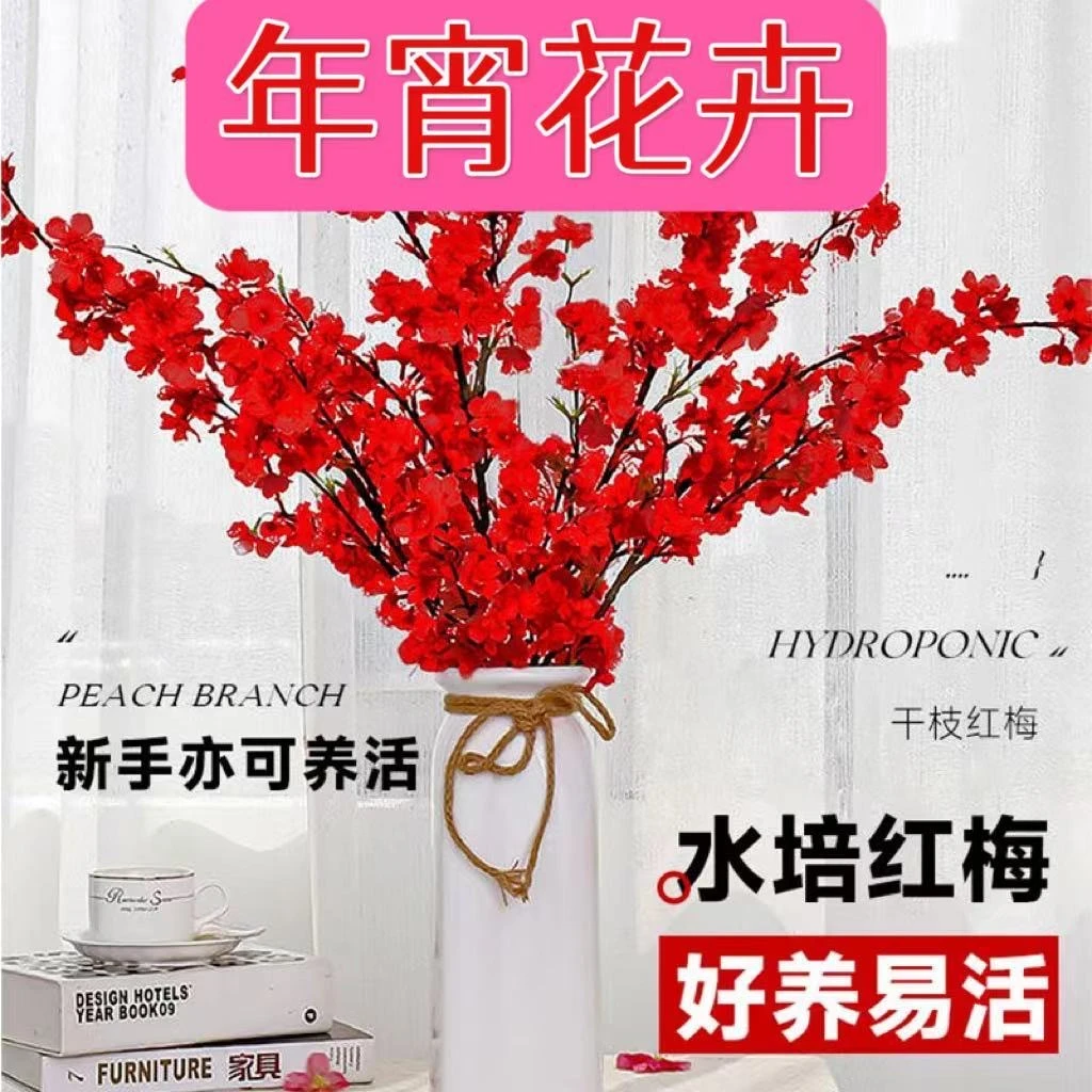 【年宵爆款】干枝红梅遇水开花带花苞红梅花枝耐寒飘香好养新年花香