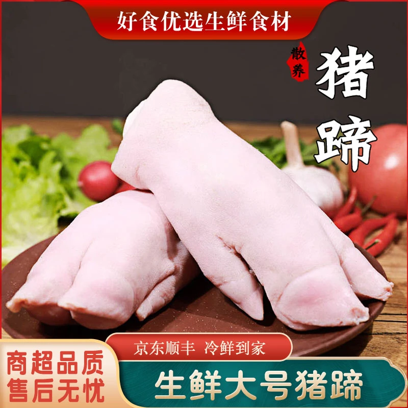 猪蹄生鲜带筋纯前蹄猪猪蹄4斤装生猪手干净无毛整只猪脚