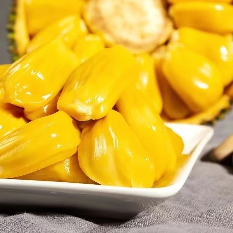 【收到后需要催熟，硬果不要切】海南三亚黄肉菠萝蜜10-40斤新鲜水果