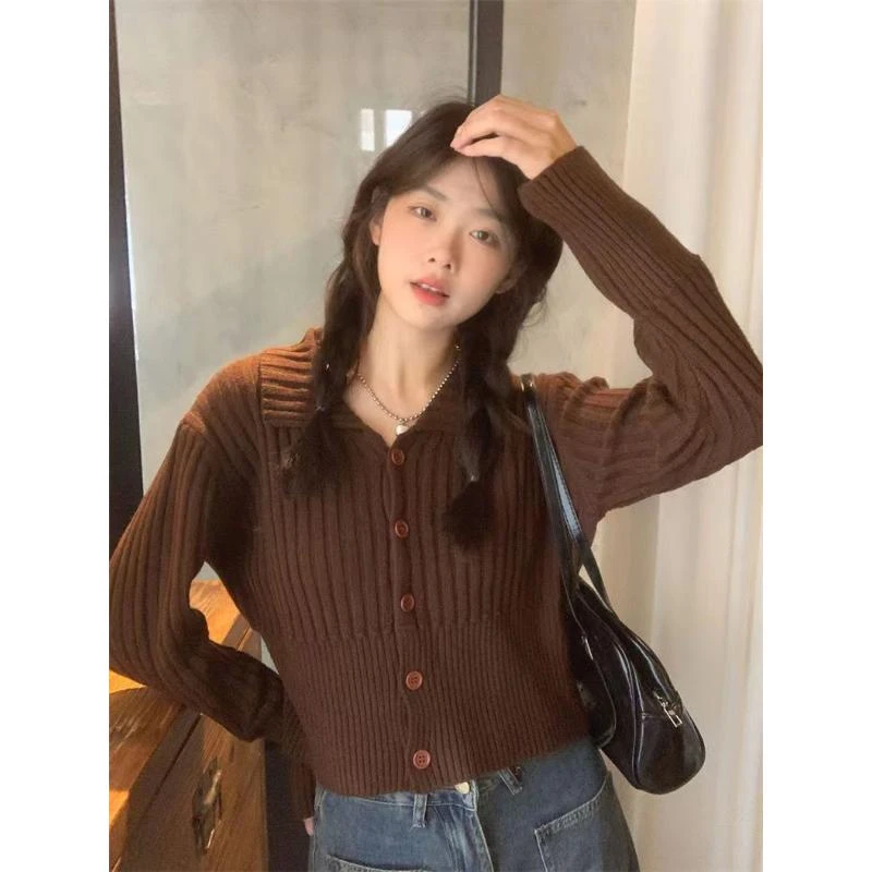 施乔秋冬新款别致绝美女生秋季甜辣气质针织衫小个子时尚潮流百搭