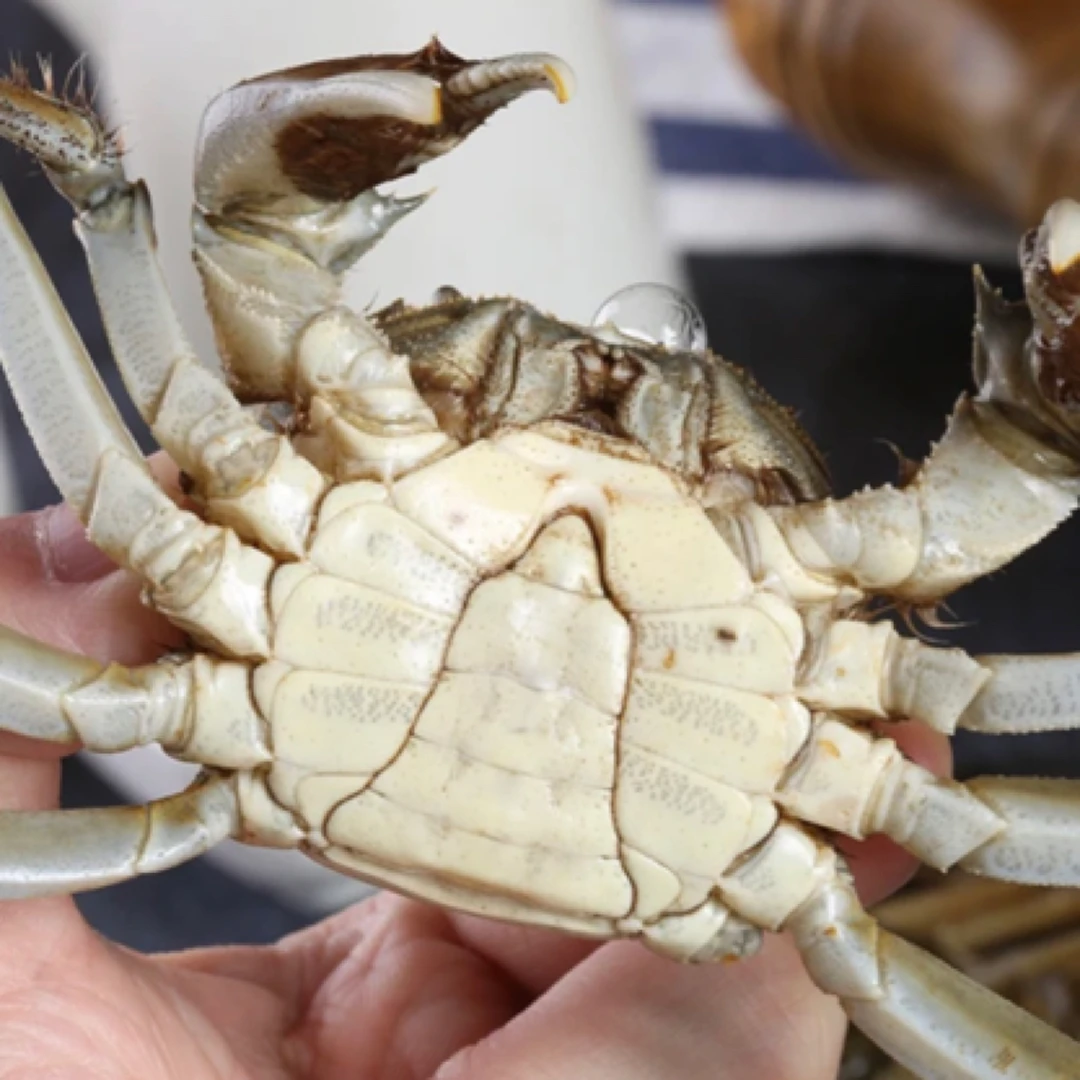 【活蟹】江苏大闸蟹 公蟹3斤 2.5两规格 12只