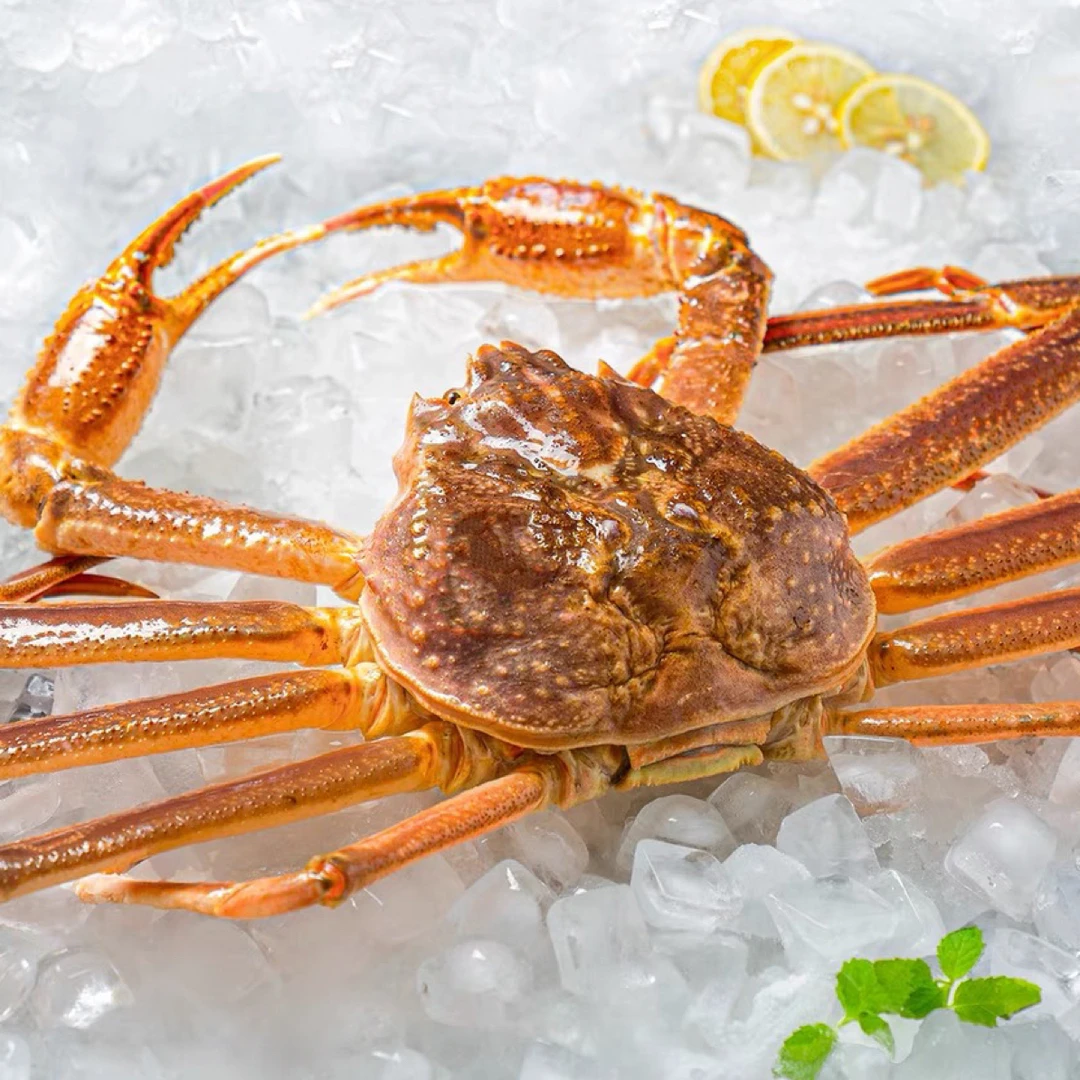 【长春同城】断氧板蟹2只（6-6.3斤左右）