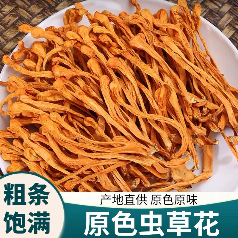 豪媳妇（古田高山虫草花）煲汤孢子头朵大虫草花干货营养自然风干