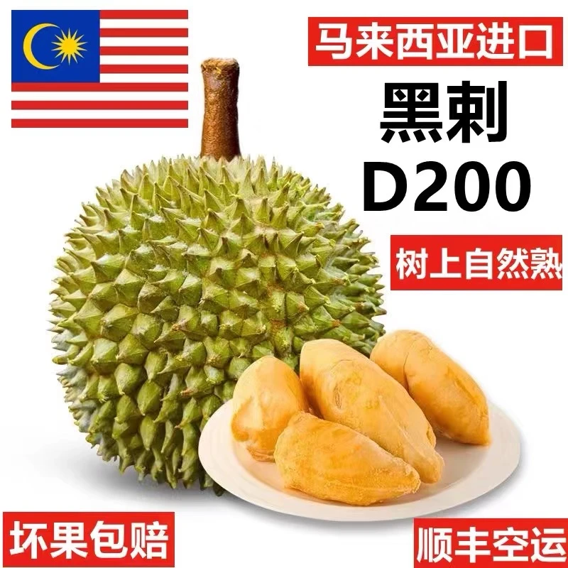 【中秋限定】D200进口马来西亚槟城黑刺液氮冷冻锁鲜树熟