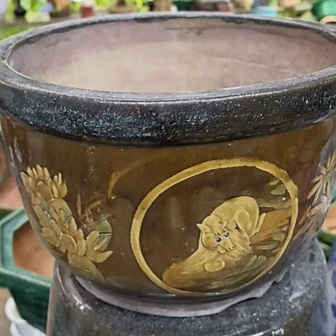 红陶20CM（含）-50CM（不含）远*