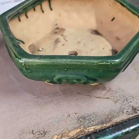 红陶20CM（含）-50CM（不含）李***爱