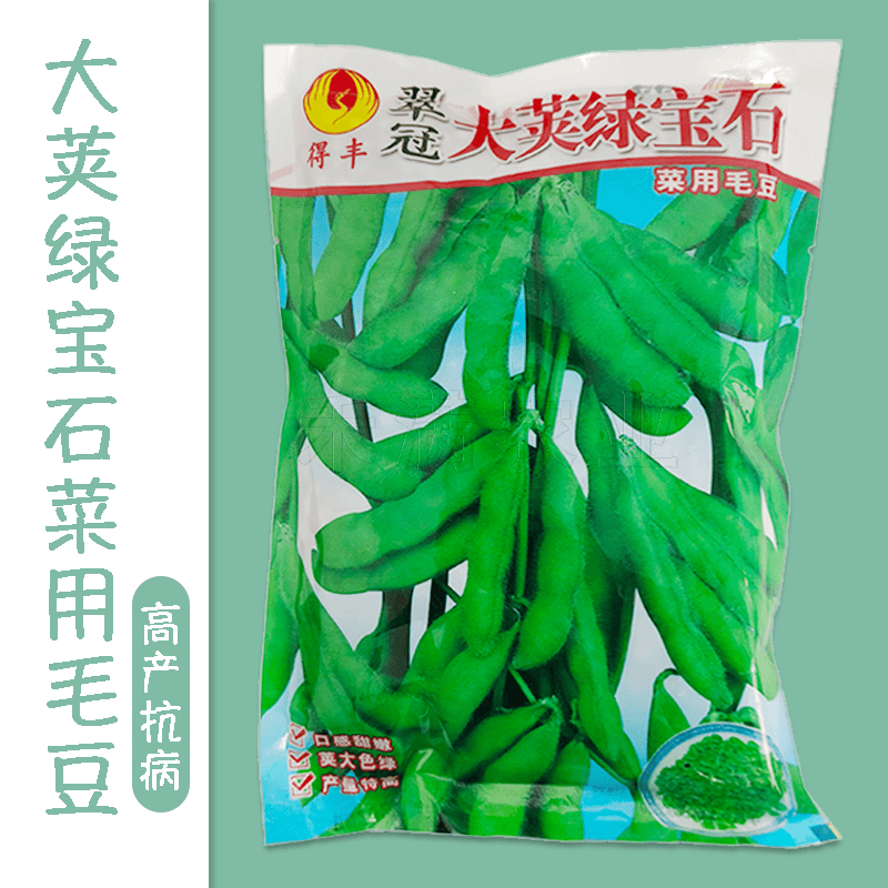 正宗绿宝石毛豆种子75天毛豆种籽高产毛豆种子中晚熟基地抗病种植