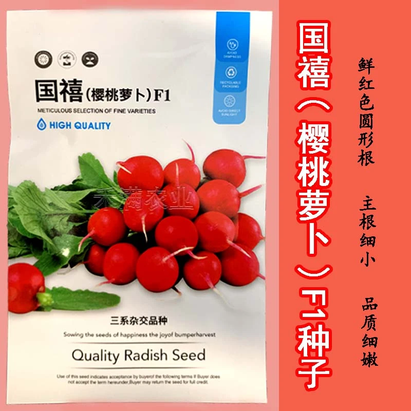 樱桃萝卜种子水果萝卜籽种秋季栽蔬菜种孑小萝卜种籽秋季萝卜种子