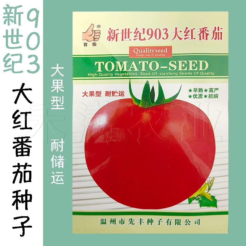 正宗基地品903大红番茄种籽耐热大红果西红柿种子抗病性强生长
