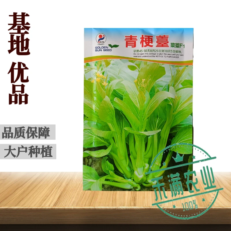 优质白菜苔种子秋季种植多茬采收菜心种籽耐寒高产抗病大田庭院种