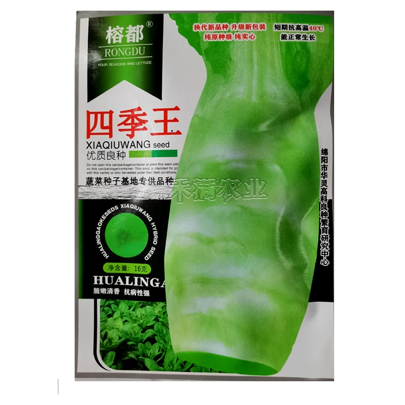 夏季专用四季王莴笋种子青皮绿肉香莴苣种子高产耐热莴苣种籽农业