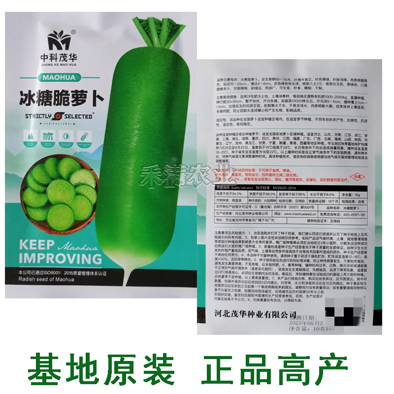 品质生吃冰糖水果萝卜种籽脆甜绿皮绿肉萝卜种子耐热耐寒萝卜种籽