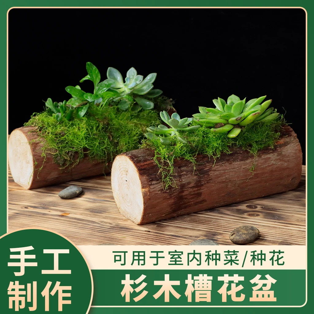 杉木槽花盆带皮杉树木头简约花盆树桩创意园艺阳台装饰原木段树墩