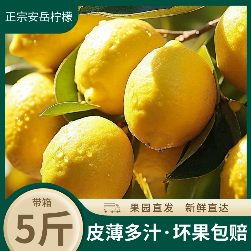 【带箱5斤】四川安岳黄柠檬当季水果果园新鲜采摘产地直发皮薄榨汁