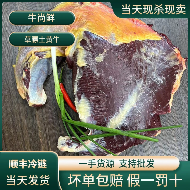 牛腿肉嫩肉4斤 金膘土黄牛精修腿肉冷链新鲜牛肉火锅坏单包赔