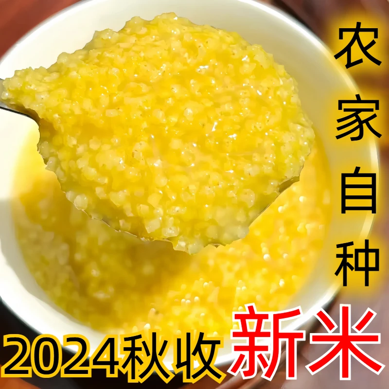 2024沂蒙山秋收新小米黄小米农家自种熬粥米油现磨发售山东特产