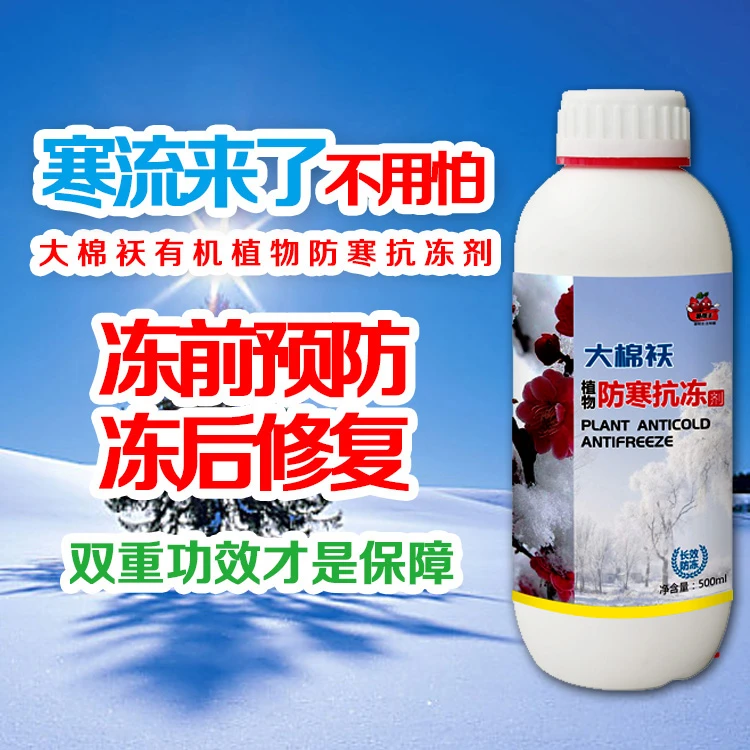 大棉袄植物防冻防倒春寒生根壮苗小麦大蒜辣椒