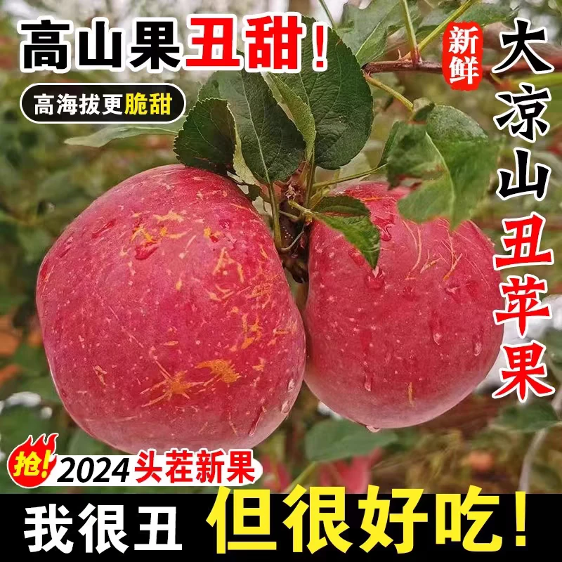 四川大凉山盐源红富士丑苹果5斤
