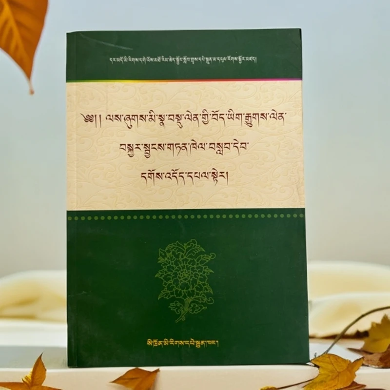 公务员及事业单位藏文考前培训指定教材：藏文