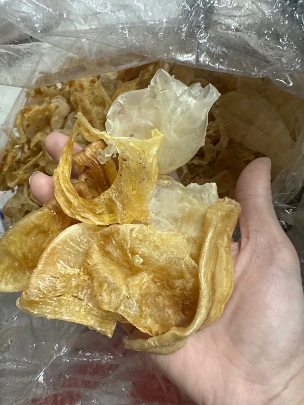 北海大胶（断）500克捡漏