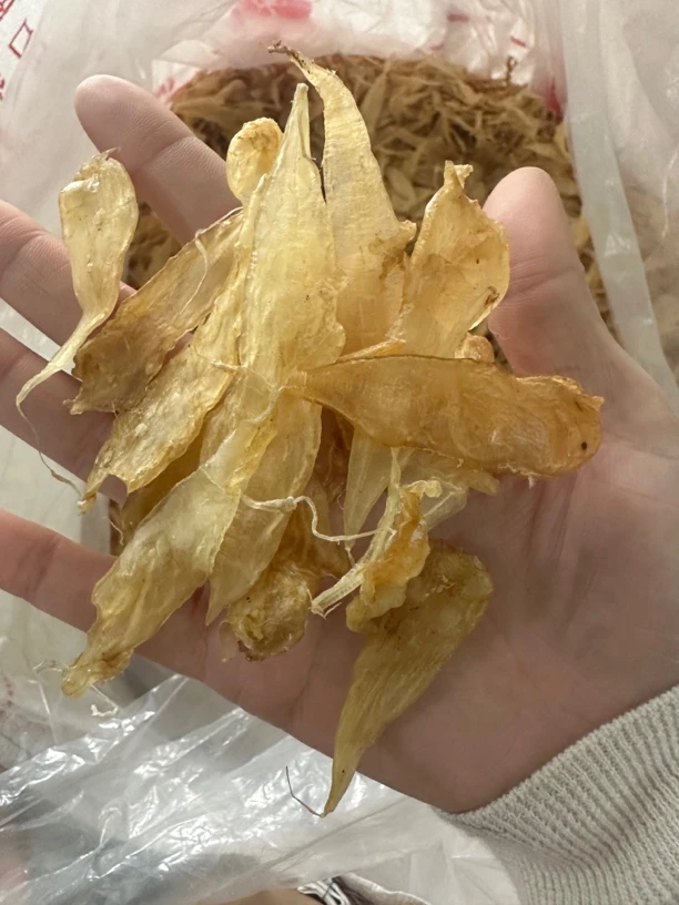 600多头豆仁胶捡漏500克