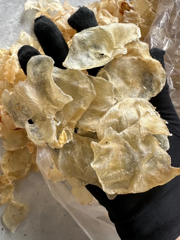 厚肉蝴蝶胶（断）500克