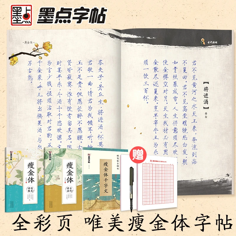 墨点【瘦金体千字文】字帖初学者男女生漂亮字技法教程描红临摹