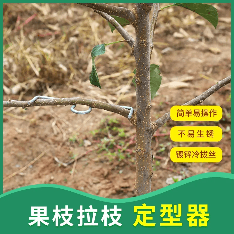 m型果树拉技器苹果柑橘拉枝神器树枝弯别枝定型器拉直器M型钉挂钩