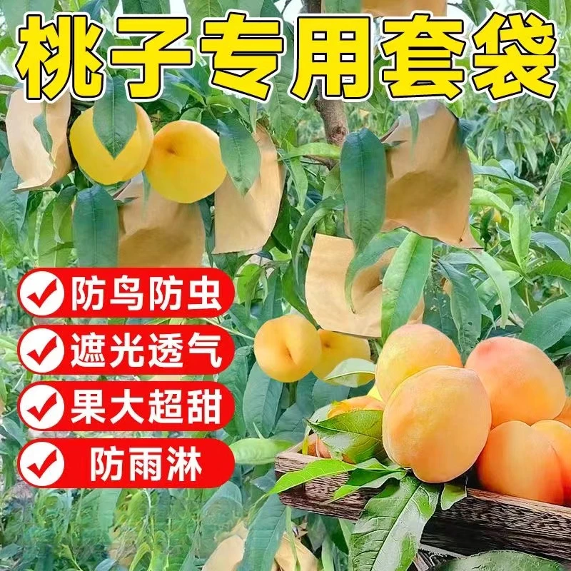 桃子专用套袋水蜜桃冬桃蟠桃黄桃专用纸袋防鸟虫水果专用果树套袋