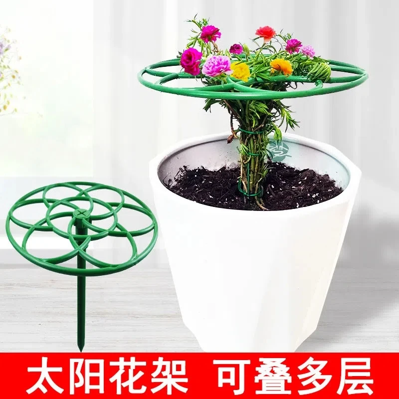 太阳花棒棒糖支架花架叶仙人掌蟹爪兰嫁接用单层多层支撑爬藤造型