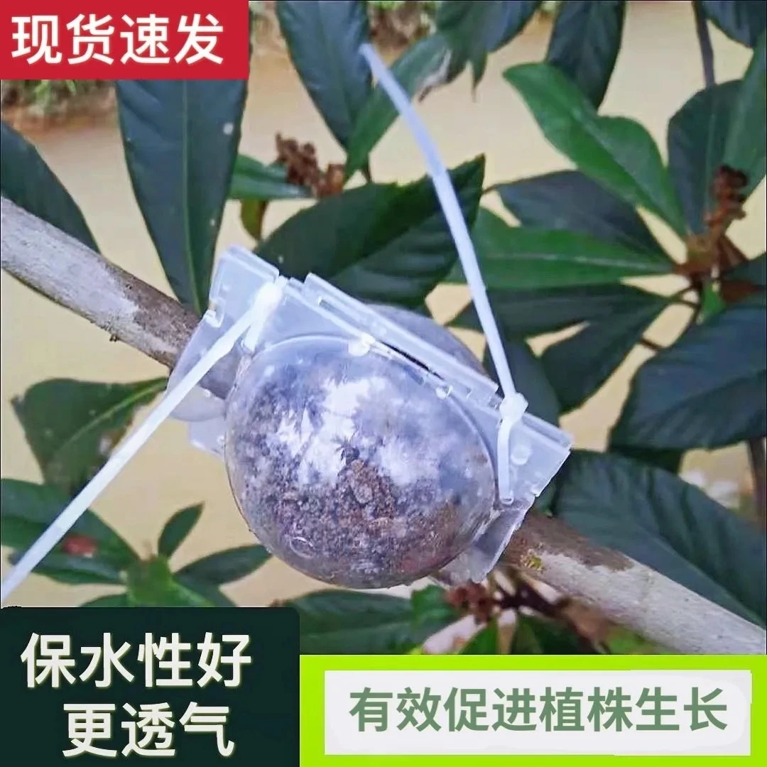 植物高压盒自动扣压枝盒嫁接植物生根器扦插高压包繁殖盒高压球
