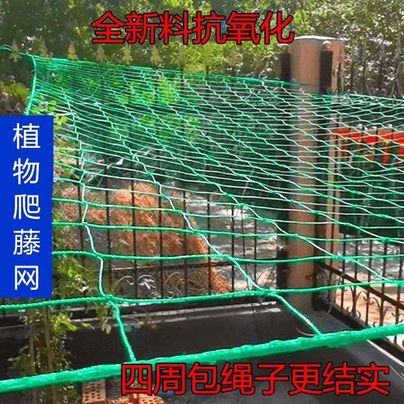 植物爬藤网百香果种爬藤网丝瓜苦瓜吊瓜葡萄爬藤黄瓜花类爬藤