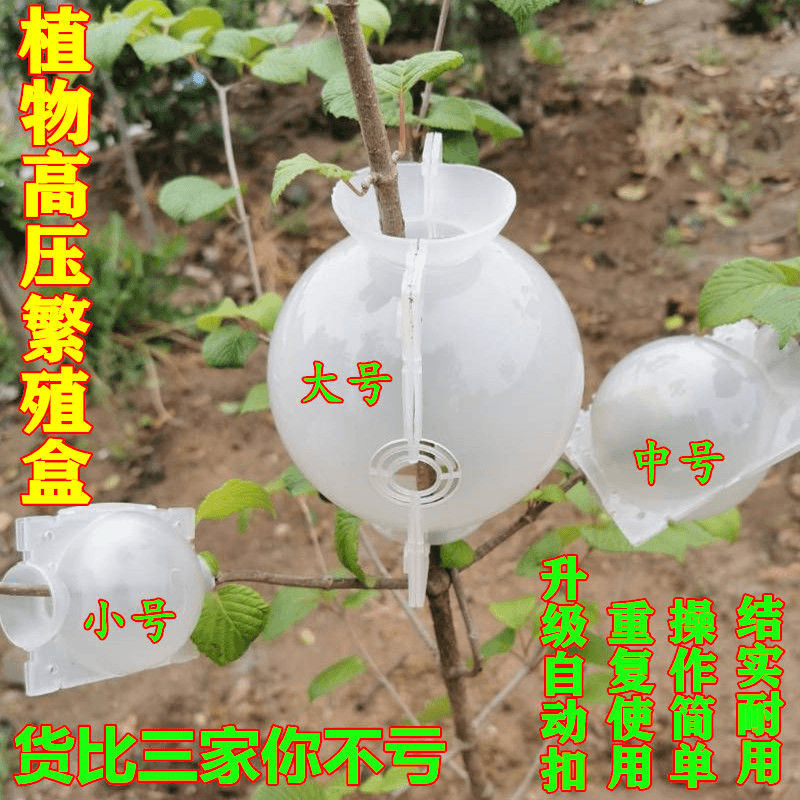 果树植物扦插嫁接盒生根繁殖高压繁殖盒高压包枝球生根育苗器盆景