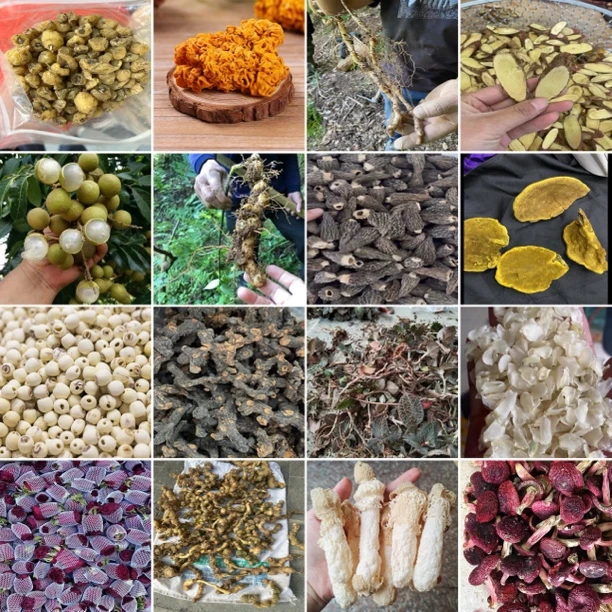 云南土特产山货直播临时链接