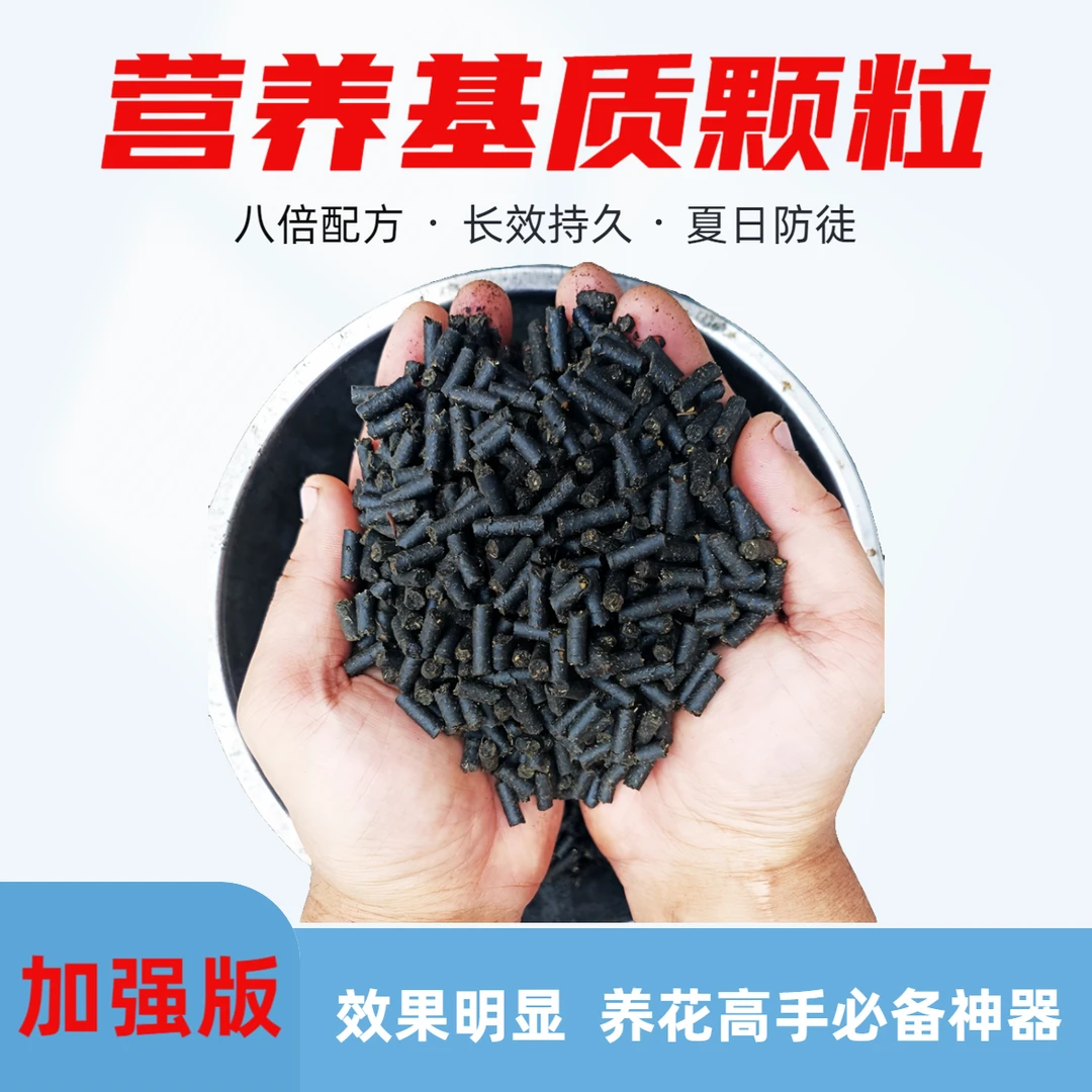 （350克 加强）植物营养基质颗粒 延长花期促生长