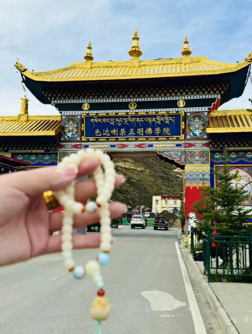 铜合金锦纶手链 2025大大菩提手串白色时尚古风民族风百搭国风