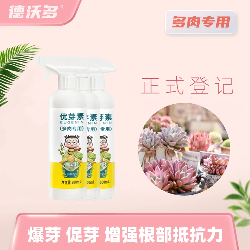 德沃多优芽素多肉专用促多头侧芽细胞分裂素促芽催芽矮胖素爆芽素