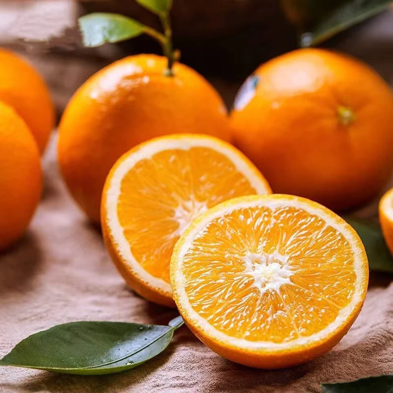 湖北秭归正宗伦晚脐橙4.5斤新鲜现摘当季水果皮薄多汁