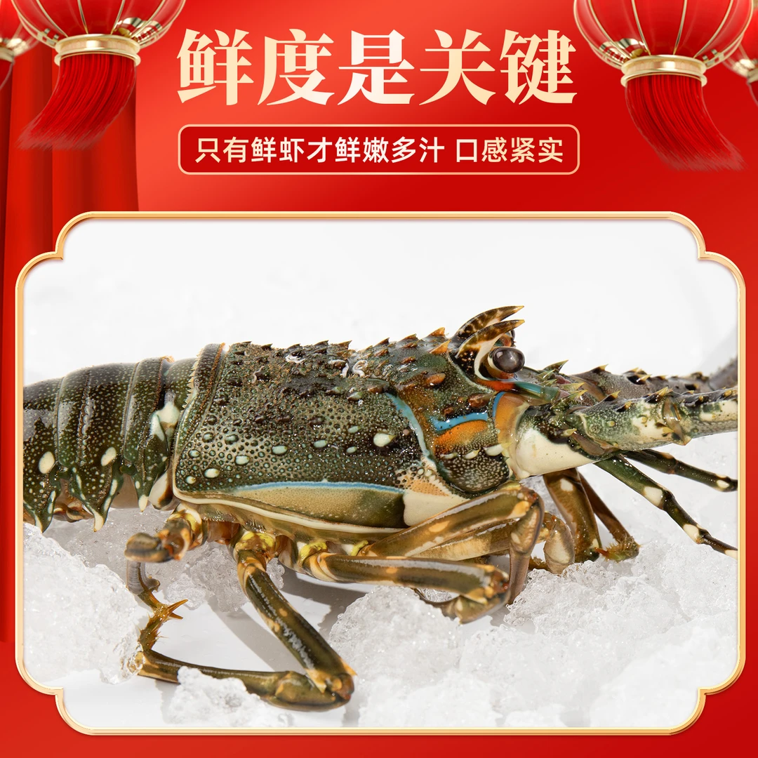51节小青龙虾4-5两/只 3只装 活冻锁鲜 顺丰冷链包邮